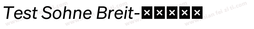 Test Sohne Breit字体转换